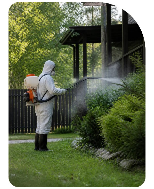 Уничтожение комаров на даче в Кизилюрте по цене от 2582 р. | Сенат-Кзт